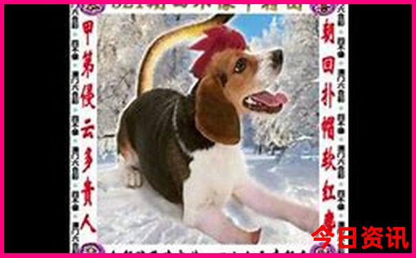 贵阳小众好玩的地方